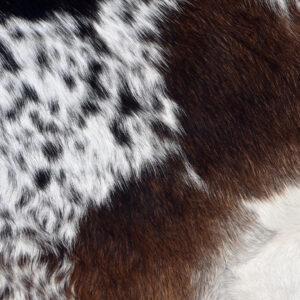 Brazilian Dark Tricolor Cowhide Rug - 1