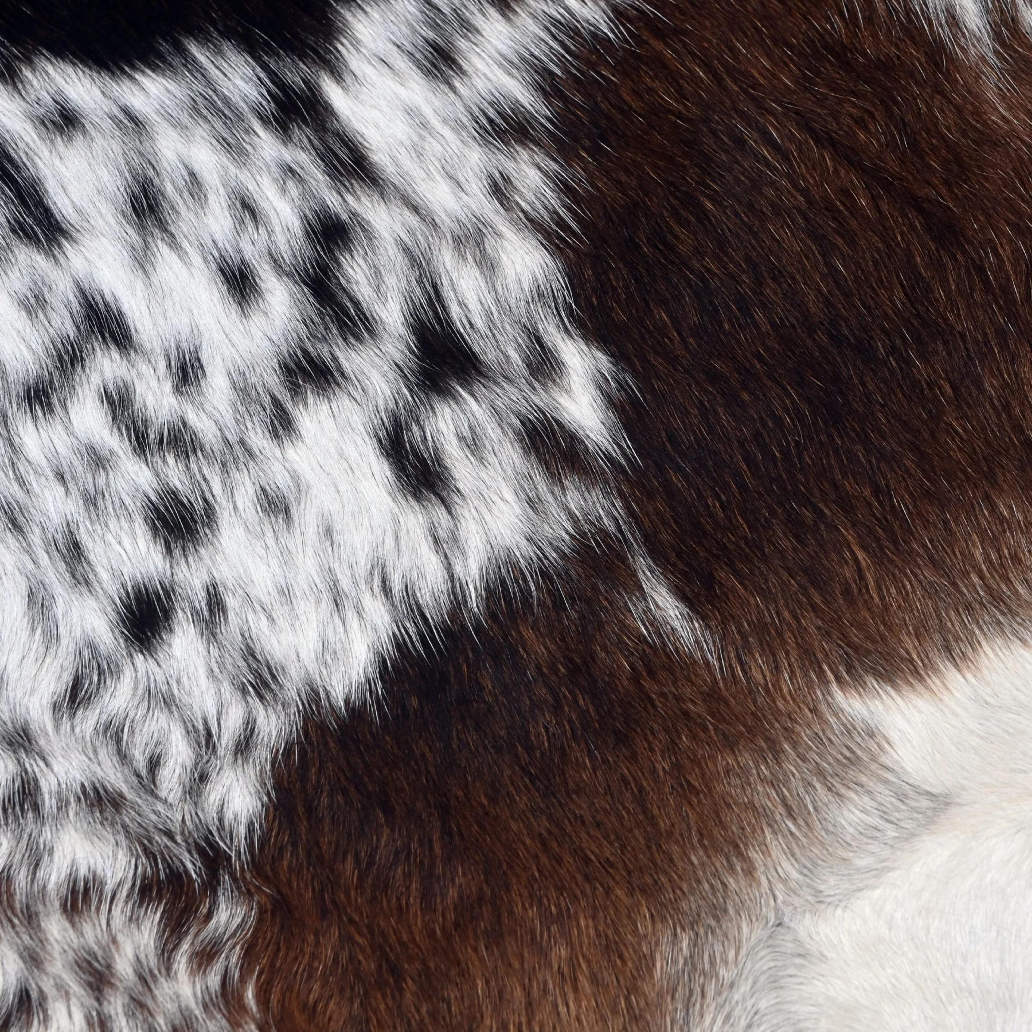 Brazilian Dark Tricolor Cowhide Rug - 1