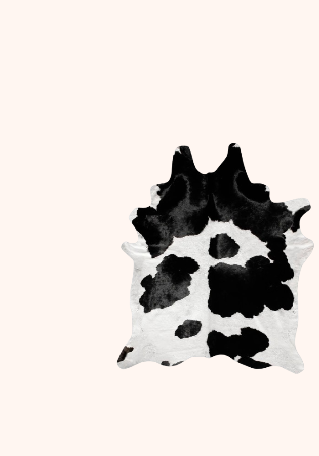 Black-White-Rug-Banner