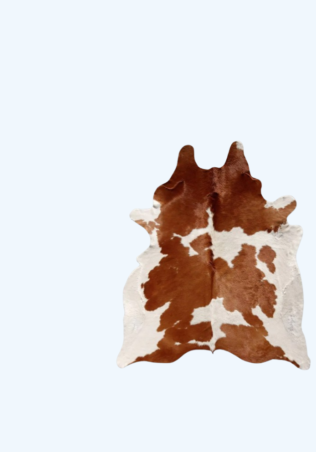 Brown-White-Rug-Banner