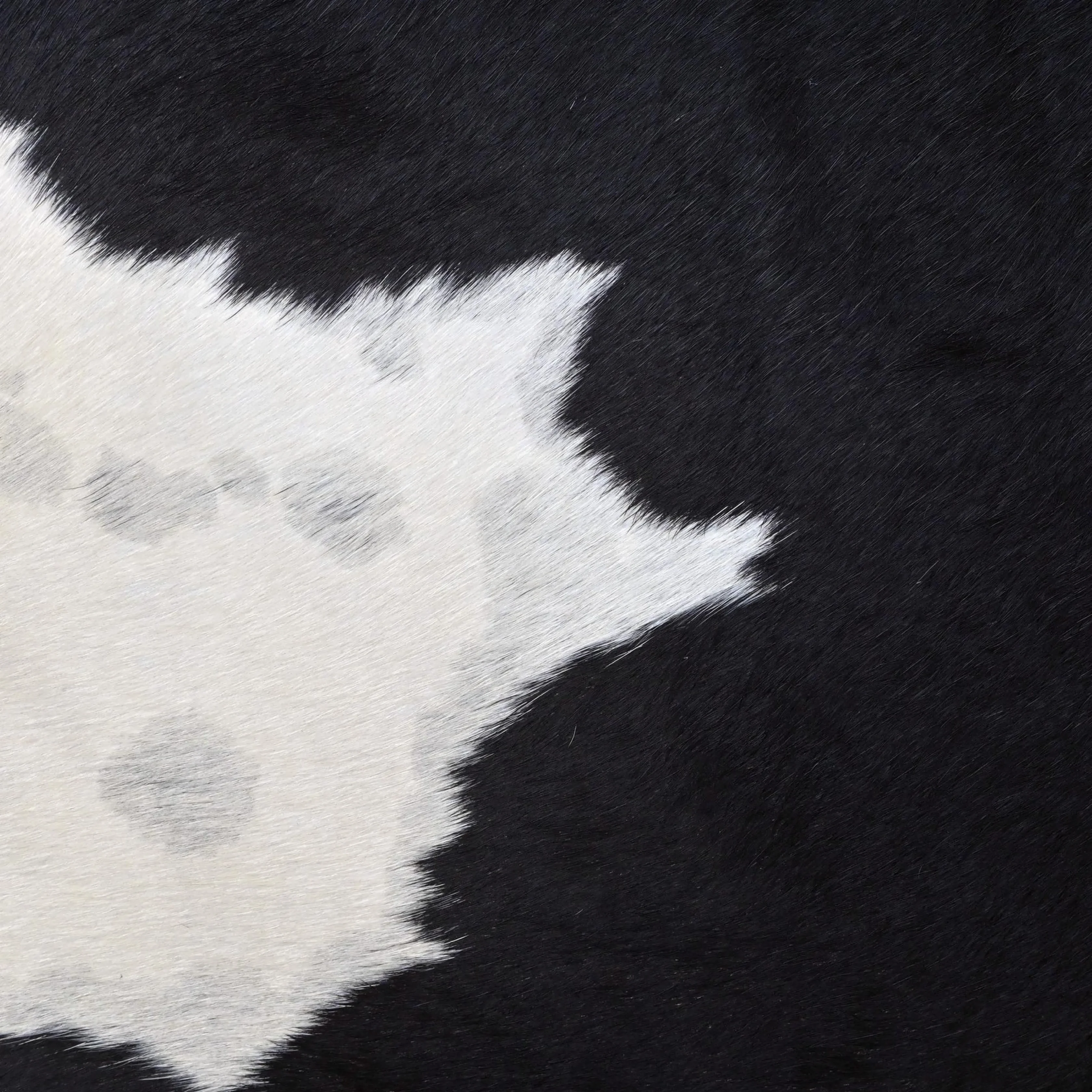 Luxury Black Dominant Cowhide Rug Handmade Leather Hide - 3
