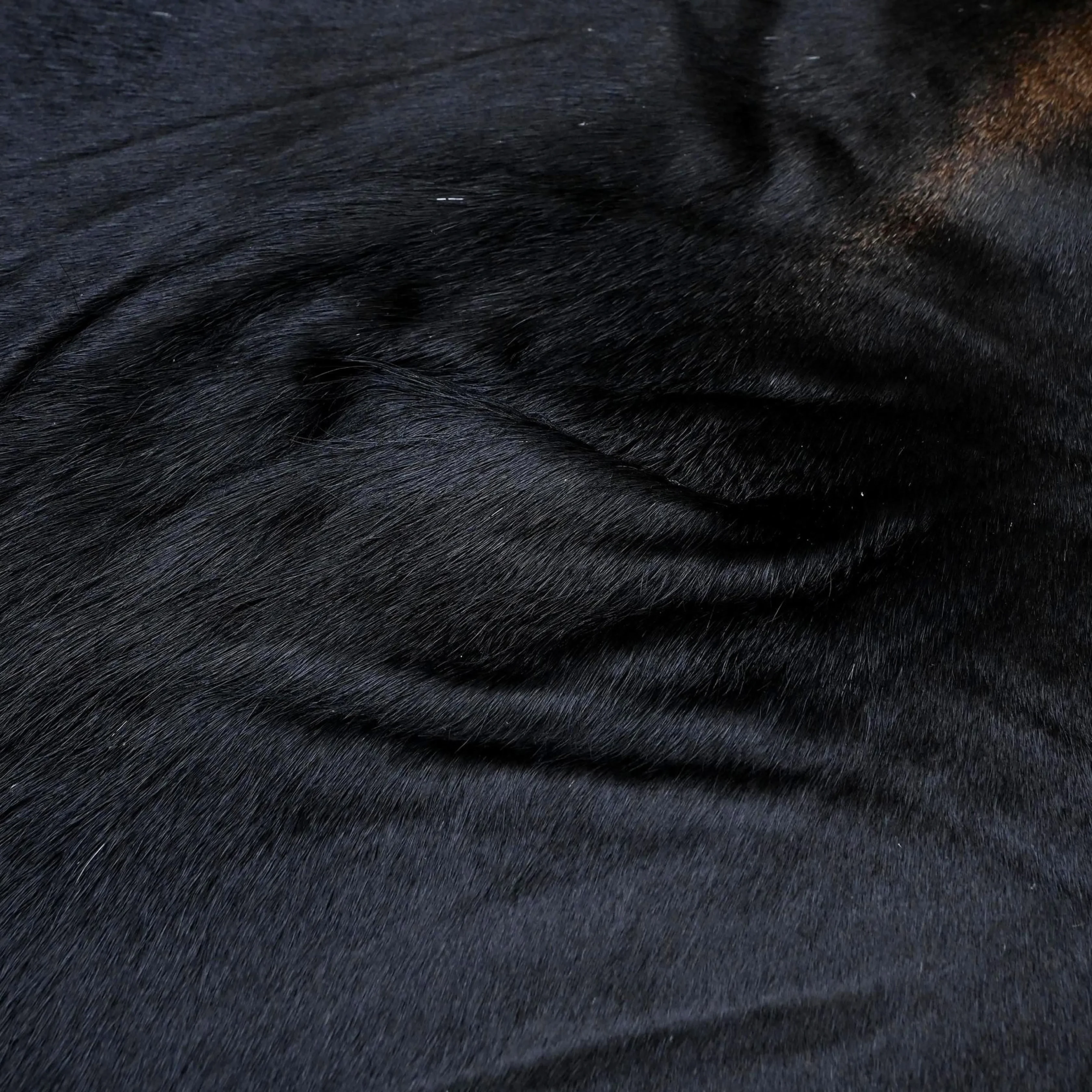 Real Black Cowhide Area Rug | Genuine Leather Hide - 2