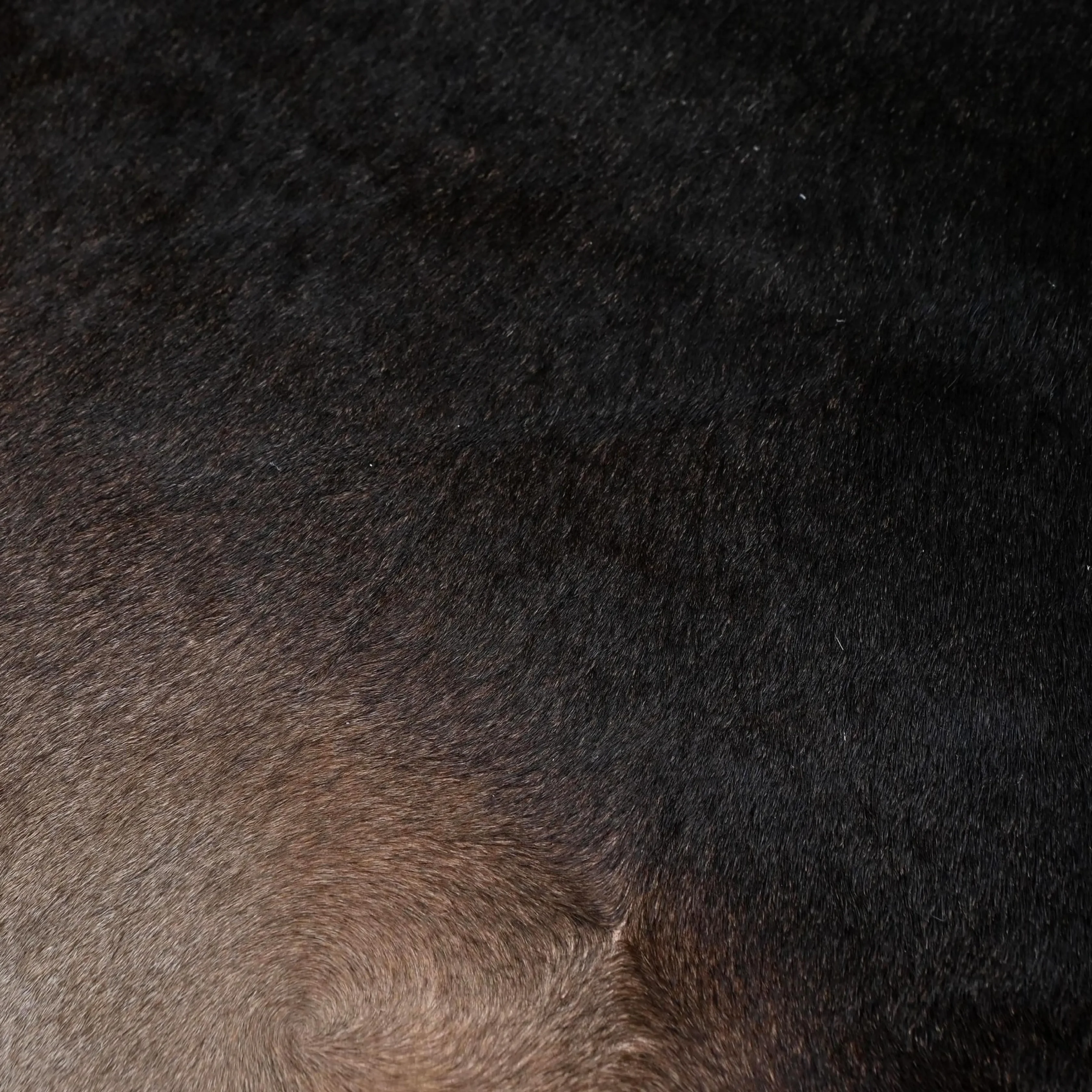 Real Black Cowhide Area Rug | Genuine Leather Hide - 3