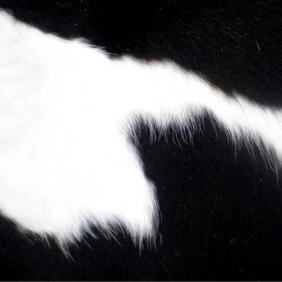 Black White Genuine Cowhide Leather Pillow Cover - 1