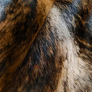 Brindle Brown Cowhide Rug for Living Room - 2