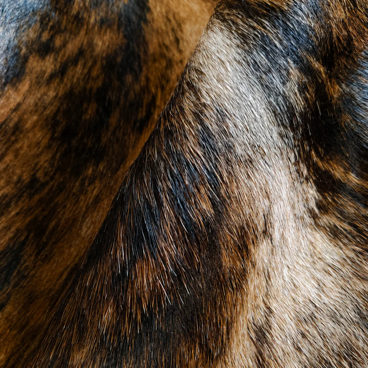 Brindle Brown Cowhide Rug for Living Room - 2